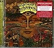 Spiritual Beggars by Spiritual Beggars (2013-10-22)【並行輸入品】