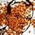 Rotting Pi�ata