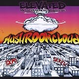 Mushroom Cloud