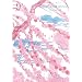 Compl�ment affectif, Tome 9 :