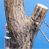 Review Northern Tool  / 24