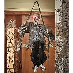 Halloween Light and Sound Animated Swingers