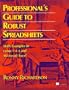Professional's Guide to Robust Spreadsheets