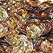 8mm Cup Facet Round SEQUIN PAILLETTES ~ GOLD LASER HOLOGRAM Reflective Rainbow ~ Loose sequins for embroidery, bridal, applique, arts, crafts, and embellishment. Made in USA.