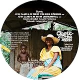UN CANTO A MI TIERRA [VINYL]