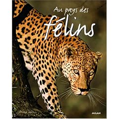 Au pays des f�lins