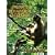 Primate Behavioral Ecology (3rd Edition)