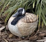 Goose Portly Large