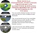 The Special Promotion, Godfather Principles and Accounting & Finance for Basketry On-line Businesses 3 CD Course