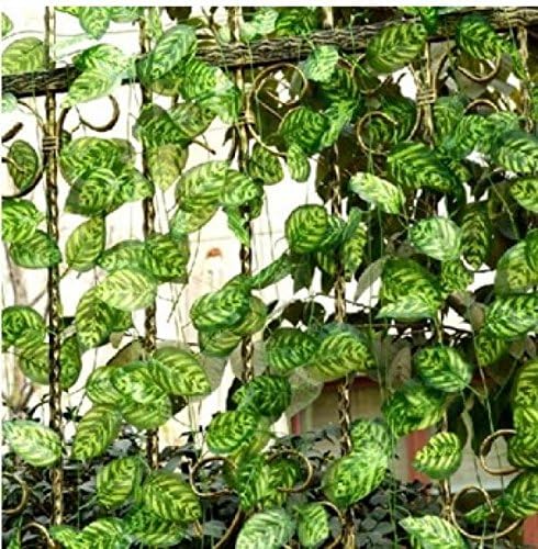 Simulation Peacock Flat Leaf Vines Climbing Plant Wedding Home Wall Decoration Decorative Fake Leaves Rattan Vine Leaves 12 pieces / lot