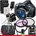 Canon PowerShot SX40 HS Digital Camera 8GB Package 4