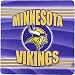 Minnesota Vikings End Zone Mouse Pad