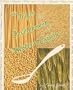 The Origin & Development Of Western Cuisine Cookbook
