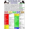 Tierheilkunde-Karten Set. Sch�ssler Salze & Bachbl�ten f�r Pferde: Sch�ssler Salze f�r Pferde / Bachbl�tenkarte Verhaltensweisen & Gem�tszust�nde / Bachbl�tenkarte physische Erkrankungen