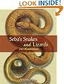 Seba's Snakes and Lizards (Dover Pictorial Archive) (Dover Pictorial Archives)