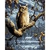 Bucilla 21681 Paint by Number, Night Owl