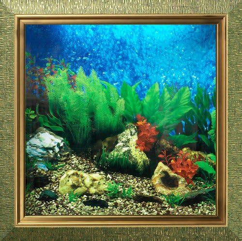 AquaVista AV500TABAAQ Wall-Mounted Aquarium AV 500 Tropical Water Background with Aquarius Frame