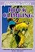 Rock Climbing (Adventure Sports)
