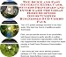 The Special How To Earn Extra Money, Marketing and Inner Game for Great Home Business Opportunities Biz 3 CD Package