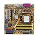 ASUS M2NPV-VM AM2 Nvidia 6150 DDR2-800 Nvidia Geforce 6150 IGP mATX Motherboard