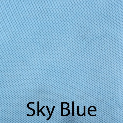 BambooMN - Bamboo Charcoal/Activated Carbon Air Purifying Bags/Freshening Odor Absorber - 5 Bags of Sky Blue, 250 grams/bag