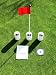 Practice Putting Green - Natural or Synthetic - Accessory Kit - 3 Cups & RED Marker Flag, DVD