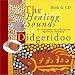 Books : The Healing Sounds of the Didgeridoo: An Invitation to a Personal Spiritual Journey