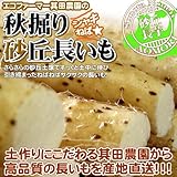 青森県産 砂丘長いも　訳あり【長芋家庭用１０ｋｇ】家庭用　山芋 とろろ