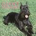 Schnauzers, Giant 2006 Calendar