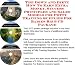 Check out The Down and Dirty How To Earn Extra Money, Success Principles and Sales Models for Potty Training Supplies For Babies Biz 3 CD Package