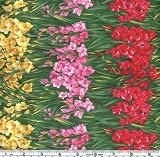 Flower of the Month August 07 Gladiola Stripes