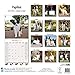 Papillon Calendar - Only Dog Breed Papillon Calendar - 2016 Wall calendars - Dog Calendars - Monthly Wall Calendar by Avonside