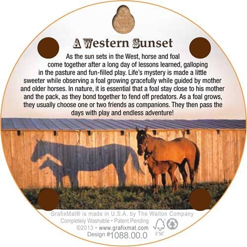 GrafixMat Coaster, Western Sunset, Made in the USA