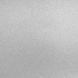 Best Creation 12-Inch by 12-Inch Glitter Cardstock, Silver