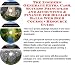 Book The Insider's Generate Extra Cash, Success Principles and Accounting & Finance for Billiard Balls Web Biz 3 Course + Resource Guide