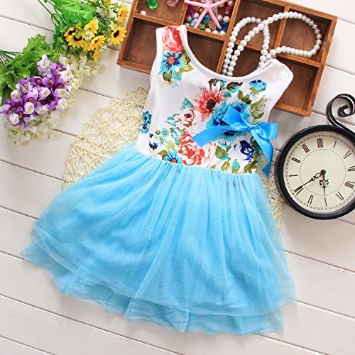 Kids Girls Princess Rose Garden Flower Petal Lace Ruffled Tulle Skirts Dresses 4T/3-4 Years Blue