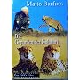 Die Geparden der Kalahari <b>DVD</b> ~ Geparden