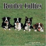 BORDER COLLIE DOG 2009 WALL CALENDAR NEW SEALED