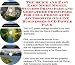 Book The Down and Dirty How To Earn Extra Money, Marketing and Inner Game for Cell Phone Auto  Accessories Biz 3 CD Package