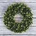 Boxwood Wreath, Artificial Wreath for the Front Door by Pure Garden, Home DÃ©cor, UV Resistant - 12 Inches
