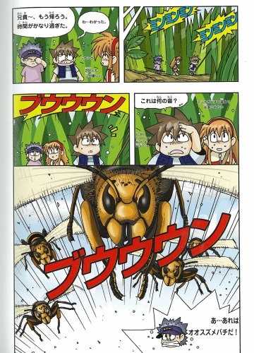Cover image : 昆虫世界のサバイバル 2 (科学漫画サバイバルシリーズ)