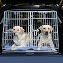 Double Dog Car Crate Trixie Boot Cage
