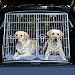 Trixie Metal Double Pet Car Boot Crate 2 Dog Bed 3930
