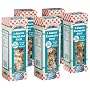 Leonard Mountain 5 Enchilada Dry Soup Mix, 41.28-Ounces Boxes