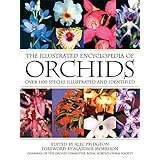 the illustrated encyclopedia of orchids