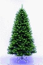 National Tree-Yantian LEX7-500-70 National 7' Lexington Artificial Fir Tree