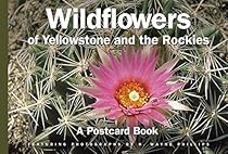 Wildflowers of Yellowstone and the Rockies: A Postcard Book (Postcard Books)