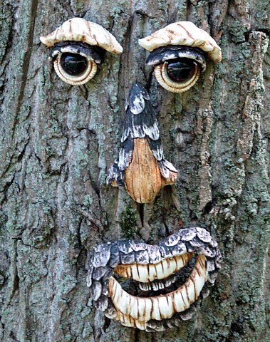 Mr. Tree - Tree Face - Give Your Trees A Personality!