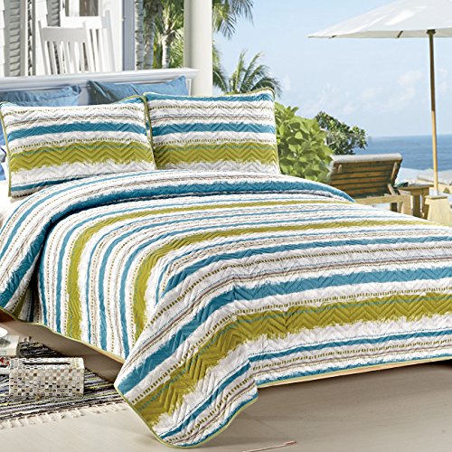 C.CTN 3piece Printed lightweight Summer Use Quilt Set, Queen Size