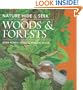 Nature Hide & Seek: Woods & Forests